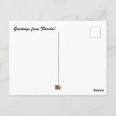Florida Briefkaart (Achterkant)