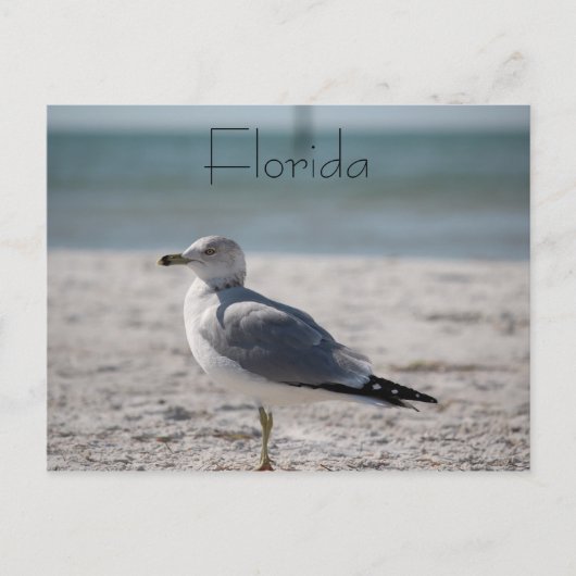 Florida Briefkaart (Voorkant)