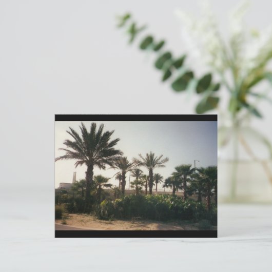 Florida Briefkaart (Staand voorkant)