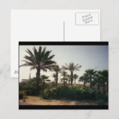 Florida Briefkaart (Voorkant / Achterkant)