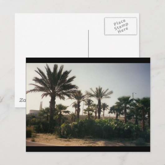 Florida Briefkaart (Voorkant / Achterkant)