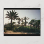 Florida Briefkaart (Voorkant)