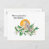 Florida Briefkaart (Voorkant / Achterkant)