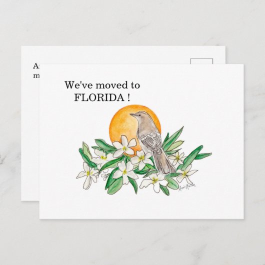 Florida Briefkaart (Voorkant / Achterkant)