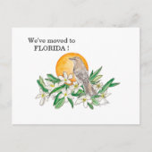 Florida Briefkaart (Voorkant)
