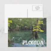 FLORIDA BRIEFKAART (Voorkant / Achterkant)