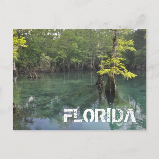 FLORIDA BRIEFKAART (Voorkant)