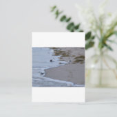 Florida Briefkaart (Staand voorkant)