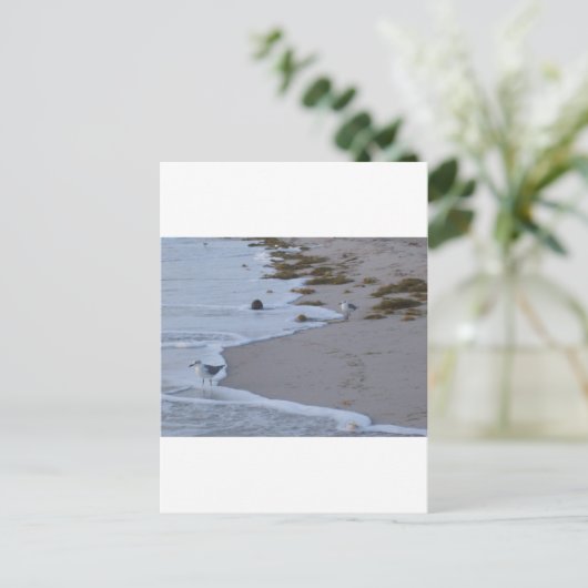 Florida Briefkaart (Staand voorkant)