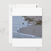 Florida Briefkaart (Voorkant / Achterkant)