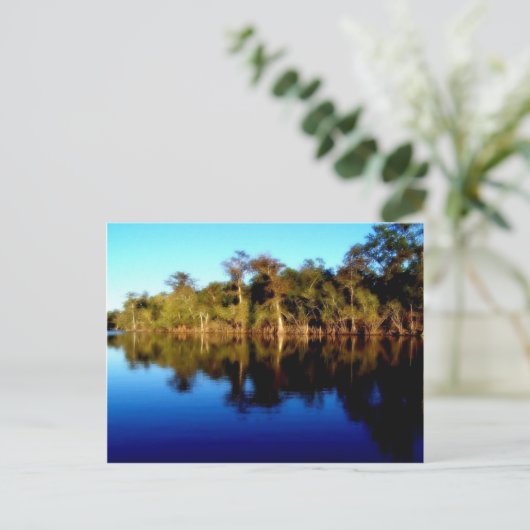 Florida Briefkaart (Staand voorkant)