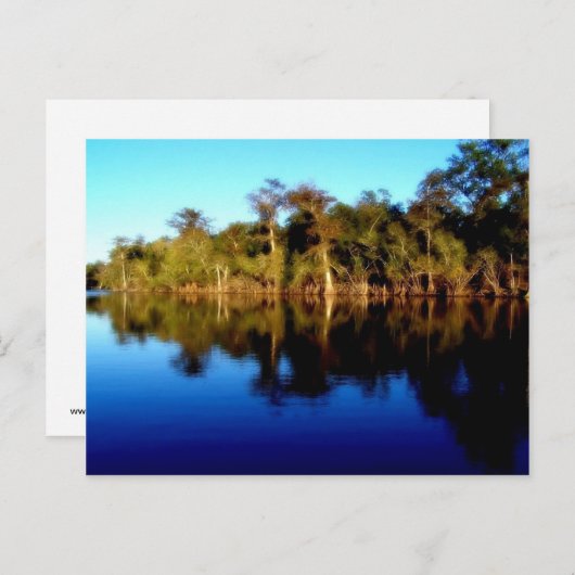 Florida Briefkaart (Voorkant / Achterkant)