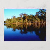 Florida Briefkaart (Voorkant)