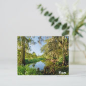 Florida Briefkaart (Staand voorkant)