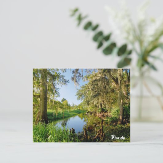 Florida Briefkaart (Staand voorkant)