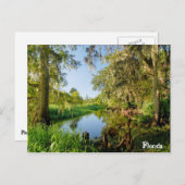 Florida Briefkaart (Voorkant / Achterkant)