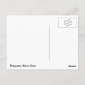 Florida Briefkaart (Achterkant)