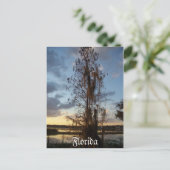 Florida Briefkaart (Staand voorkant)