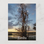 Florida Briefkaart (Voorkant)