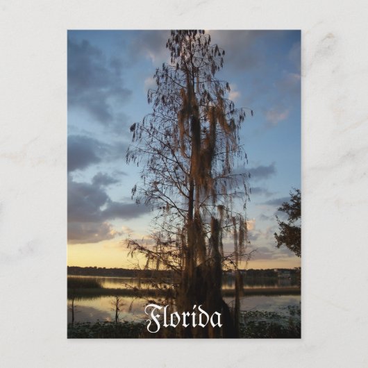 Florida Briefkaart (Voorkant)