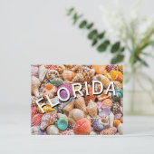 Florida  briefkaart (Staand voorkant)
