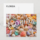 Florida  briefkaart (Voorkant / Achterkant)