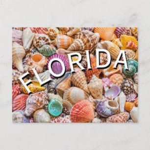 Florida  briefkaart