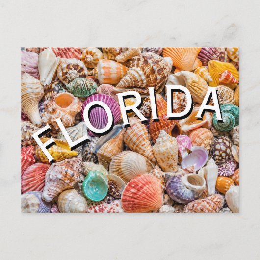 Florida  briefkaart (Voorkant)