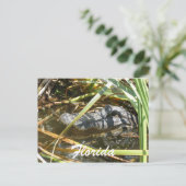 Florida Briefkaart (Staand voorkant)