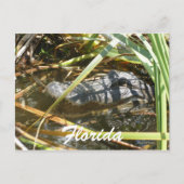 Florida Briefkaart (Voorkant)