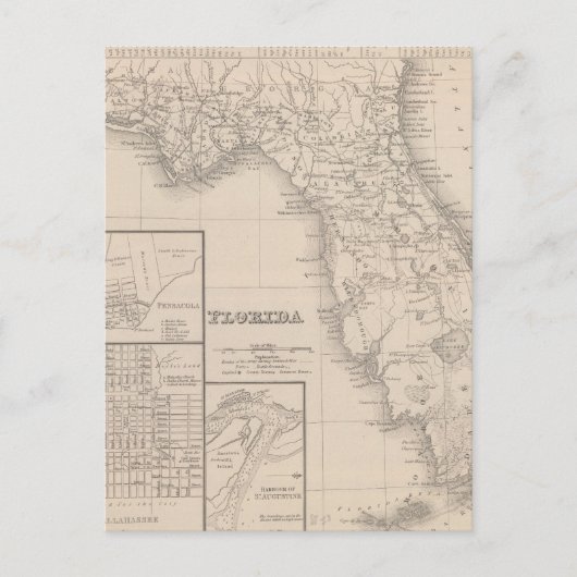 Florida Briefkaart (Voorkant)