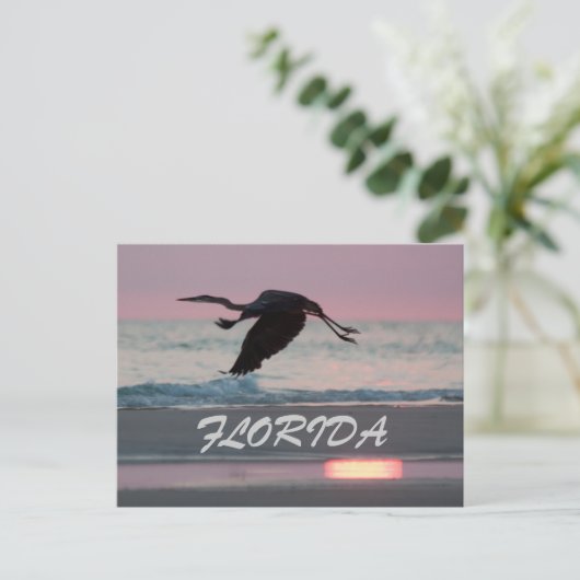 FLORIDA BRIEFKAART (Staand voorkant)