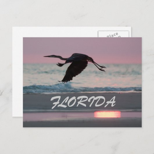 FLORIDA BRIEFKAART (Voorkant / Achterkant)