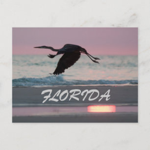 FLORIDA BRIEFKAART
