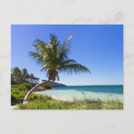 Florida - briefkaart Bahia Honda