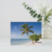 Florida - briefkaart op het strand van Sombrero (Staand voorkant)