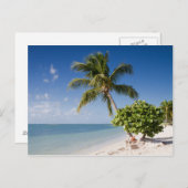 Florida - briefkaart op het strand van Sombrero (Voorkant / Achterkant)