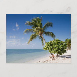 Florida - briefkaart op het strand van Sombrero