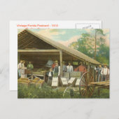 Florida  Briefkaart, "Packing Sinaasappels" Briefkaart (Voorkant / Achterkant)