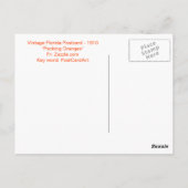 Florida  Briefkaart, "Packing Sinaasappels" Briefkaart (Achterkant)