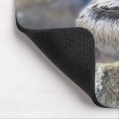 Florida Brown Pelican Permanent op Jetty Rock Muismat (Hoek)