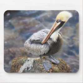 Florida Brown Pelican Permanent op Jetty Rock Muismat