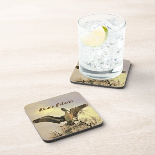Florida Brown Pelikaan in het Onderzetter (Rechterzijde)