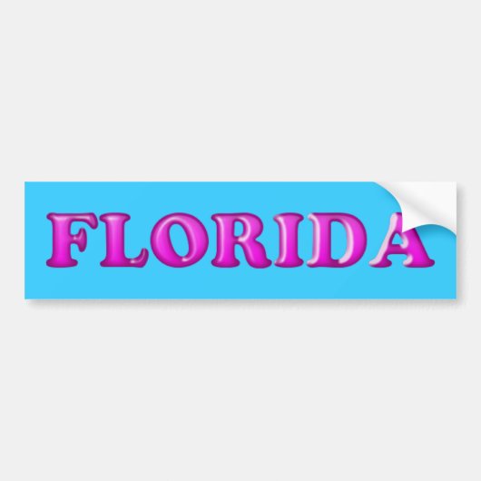 Florida-Bumpersticker Bumpersticker (Voorkant)