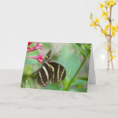 "Florida Butterfly on Red Pentas."Wenskaart Kaart (Gele Bloem)