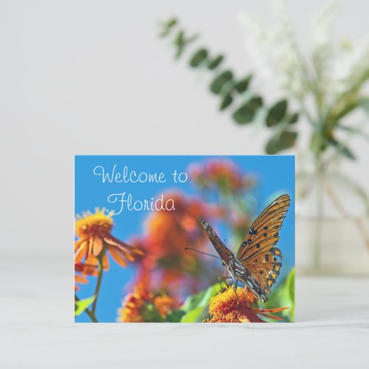 Florida Butterly Briefkaart (Staand voorkant)