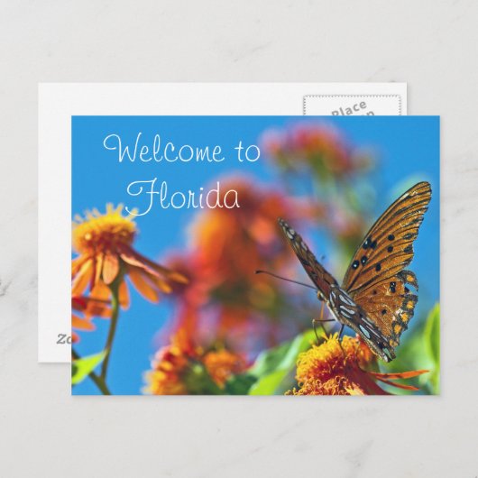 Florida Butterly Briefkaart (Voorkant / Achterkant)