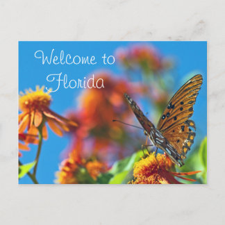 Florida Butterly Briefkaart