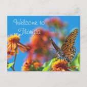 Florida Butterly Briefkaart (Voorkant)