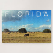 Florida Cattle Legpuzzel (Horizontaal)